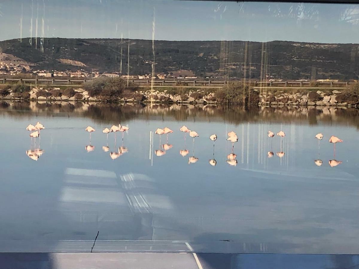 Flamants Roses 3 Frontignan Exterior foto